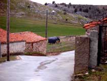 Farolas en Las Erillas