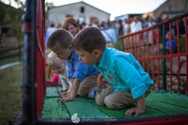 La finca, la piscina y los merenderos – Casas Rurales en el Cañón del