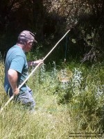 Hombre pescando cangrejos de río