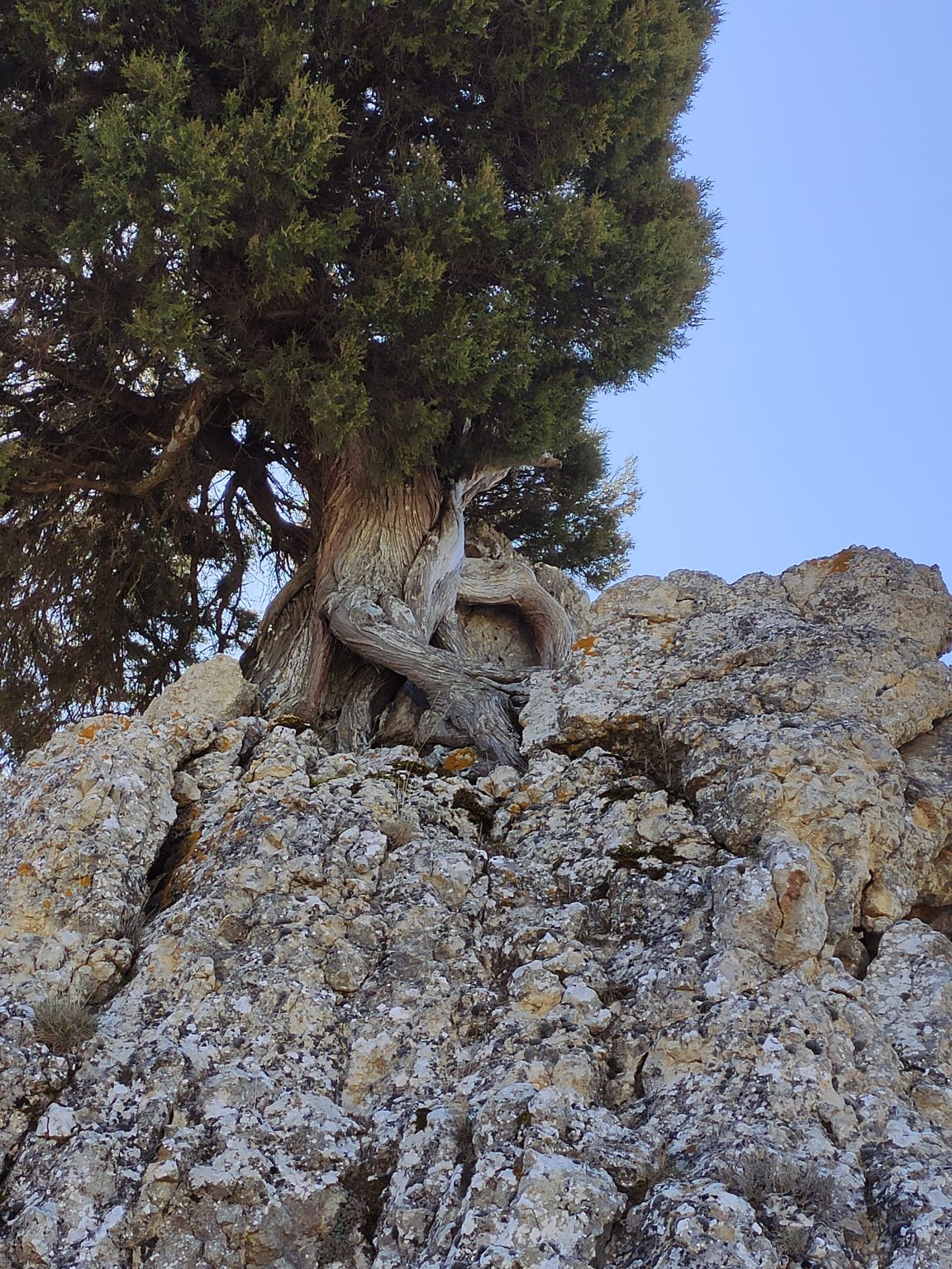 Blog – Casas Rurales en el Cañón del Río Lobos. La Chimenea de Soria I y II